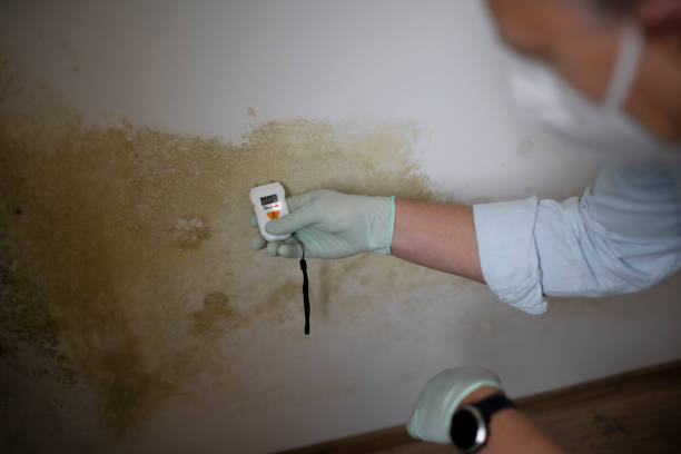 Best Crawl Space Mold Removal  in Sprague, WV