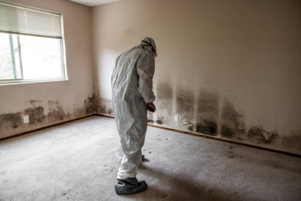 Best Residential Mold Removal  in Sprague, WV